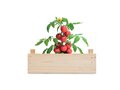 Tomato kit in wooden crate 1