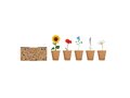 Flowers growing kit 2