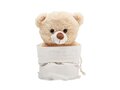 Large teddy bear - 25 cm 5