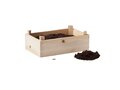Strawberry growing kit in a wooden crate 1