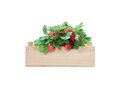 Strawberry growing kit in a wooden crate 2