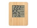 Bamboo weather station 3