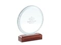 Round award plaque 4