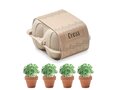 Egg carton growing kit