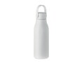 Aluminium bottle 650ml 5