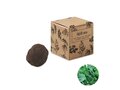 Herb seed bomb in carton box