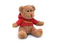 Teddy bear with sweater 2