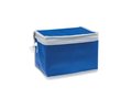 6 can cooler bag 4