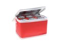 6 can cooler bag 5