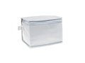 6 can cooler bag