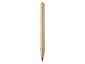 Wooden ruler pen 1