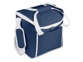 Cooler bag 600D polyester 2