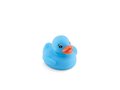 Duckie 6