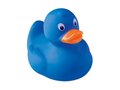 PVC duck 2