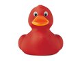 PVC duck 5