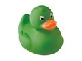 PVC duck 3