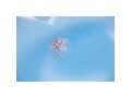 Inflatable floating swim ring 4
