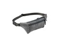 Fanny bag