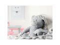 Large teddy bear with blanket 3