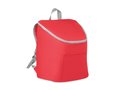Cooler bag and backpack 9