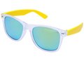 Multicolour sun glasses