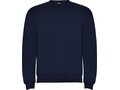 Clasica unisex crewneck sweater 173