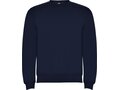 Clasica unisex crewneck sweater 40