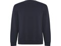 Batian unisex crewneck sweater 24