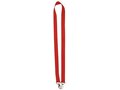 Double hook lanyard
