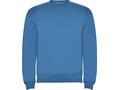 Clasica unisex crewneck sweater 174
