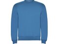 Clasica unisex crewneck sweater 41