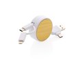 Ontario 6-in-1 retractable cable