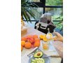 2-in-1 spiral slicer and juicer 1