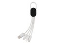 4-in-1 cable with carabiner clip