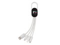 4-in-1 cable with carabiner clip 10