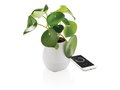 Flowerpot speaker 7