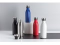 Deluxe stainless steel water bottle 2