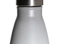 Vacuum insulated reflective visibility bottle 3