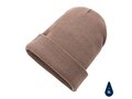 Impact Polylana® beanie with AWARE™ tracer 22