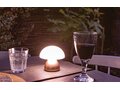 Luming RCS recycled plastic USB re-chargeable table lamp 23