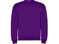 Clasica unisex crewneck sweater 43