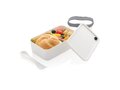 PP lunchbox with spork 12