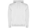 Urban men's hoodie 1