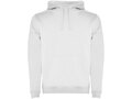 Urban men's hoodie 1