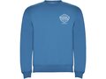 Clasica unisex crewneck sweater 4