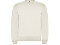 Clasica unisex crewneck sweater 123