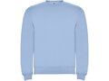 Clasica unisex crewneck sweater 6