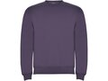 Clasica unisex crewneck sweater 25