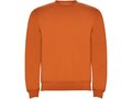 Clasica unisex crewneck sweater 10