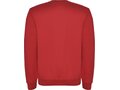 Clasica unisex crewneck sweater 29